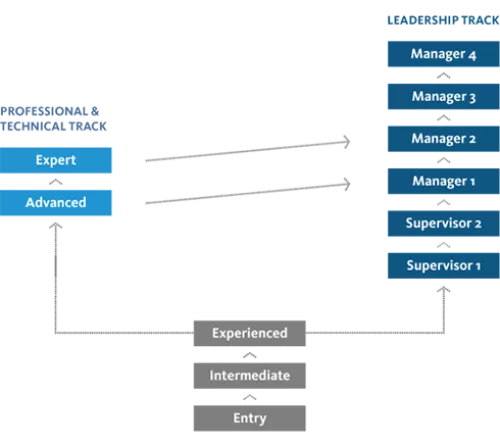 career tracks