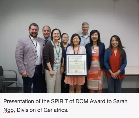 SPIRIT of DOM